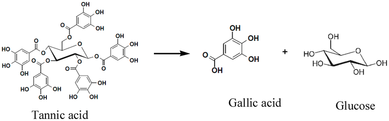 Gallic acid and tannic acid Gallic acid and tannic acid
