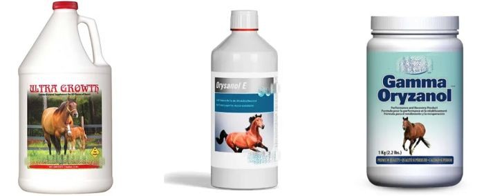 The Current Market Status of Oryzanol in Equestrian Products The Current Market Status of Oryzanol in Equestrian Products