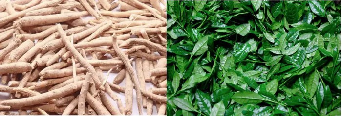 Is ashwagandha or l theanine better for sleep? Is ashwagandha or l theanine better for sleep?