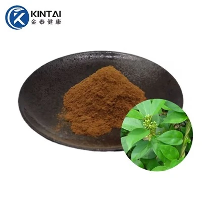 Extracto de Gymnema Sylvestre en polvo de ácido gimnémico