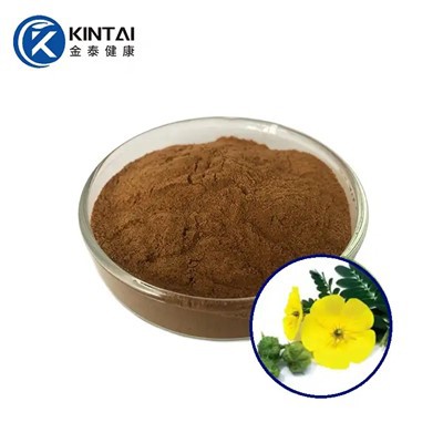 Tribulus terrestris saponinas en polvo